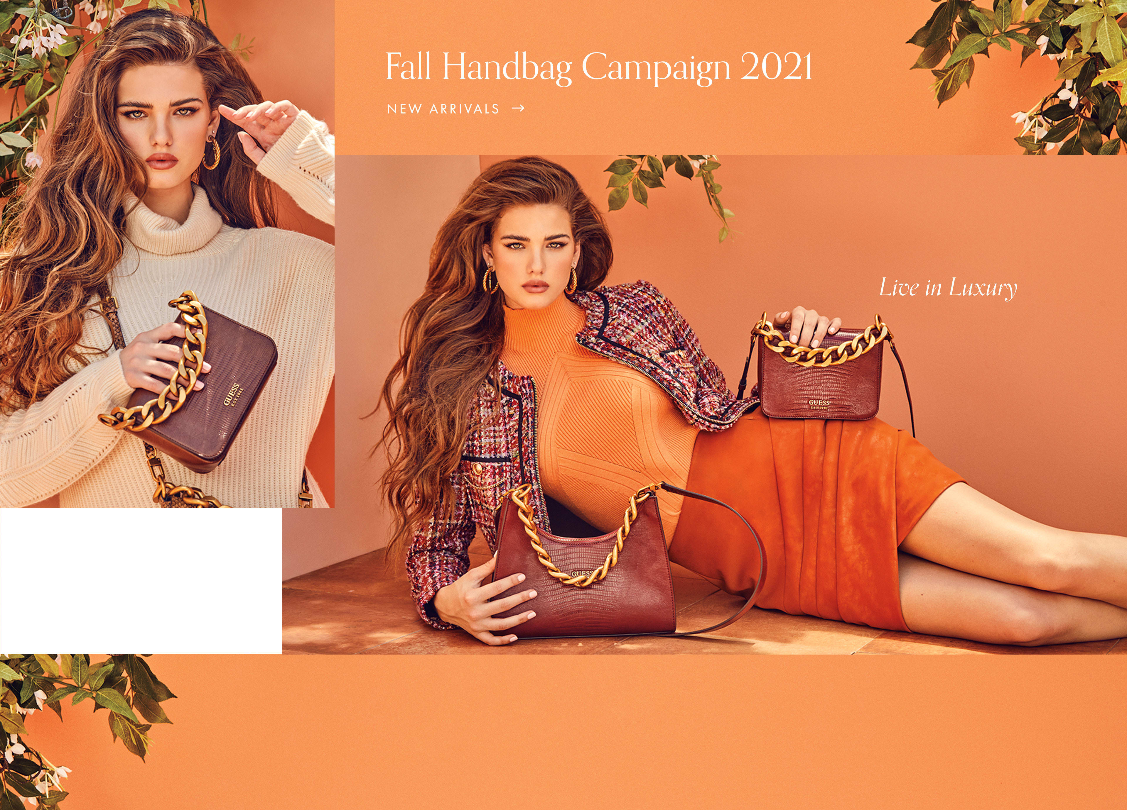 Handbag Campaign